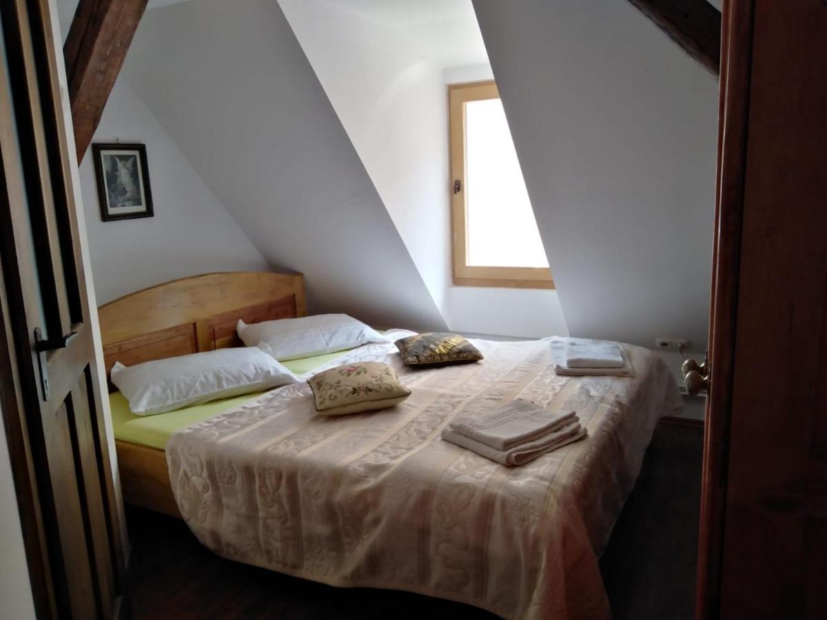 Pensiunea Lelila Inn Sighisoara Exterior photo