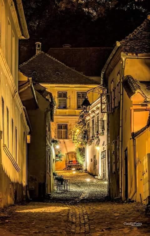 Pensiunea Lelila Inn Sighisoara Exterior photo