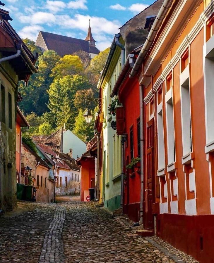 Pensiunea Lelila Inn Sighisoara Exterior photo