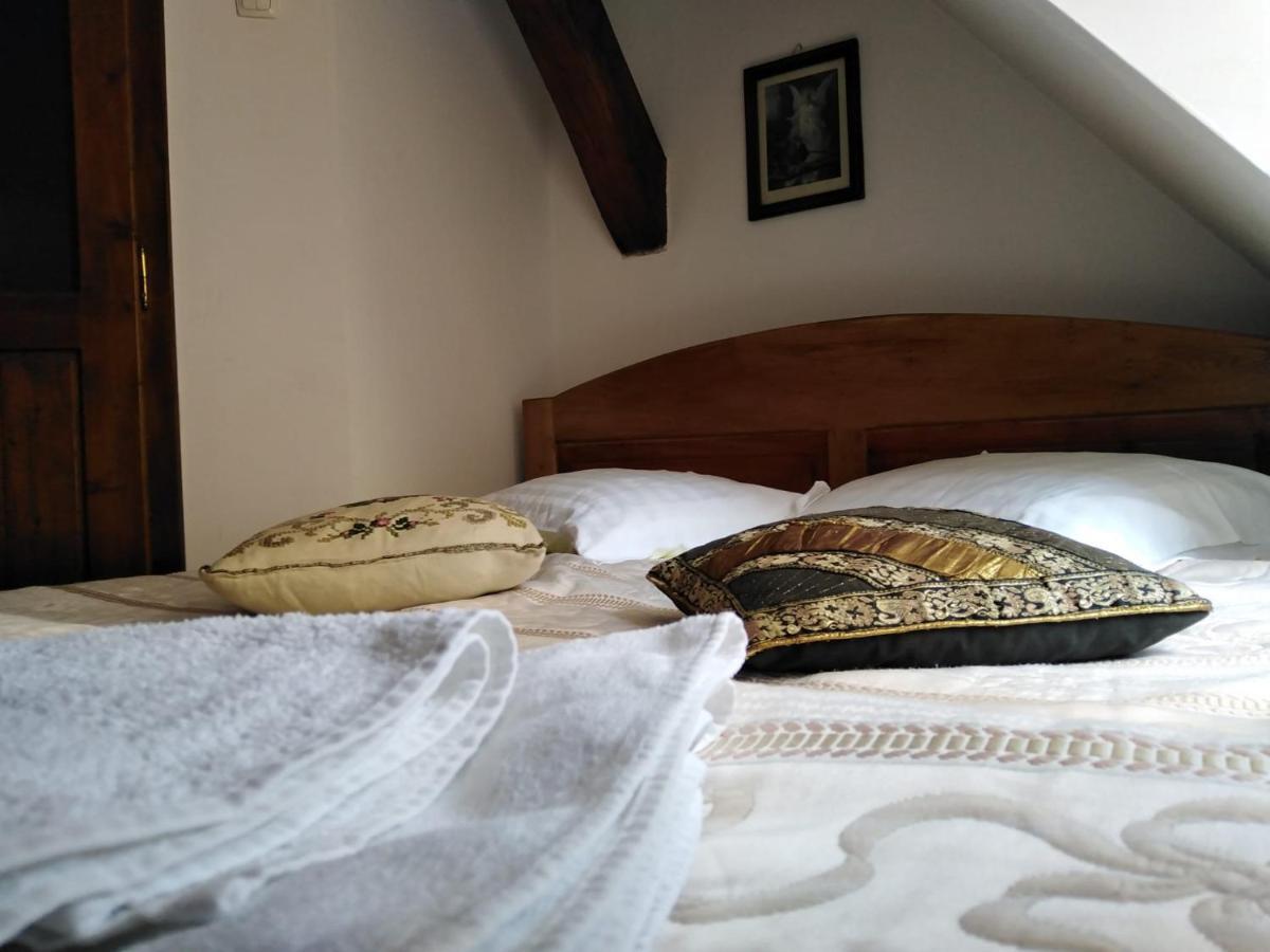 Pensiunea Lelila Inn Sighisoara Exterior photo